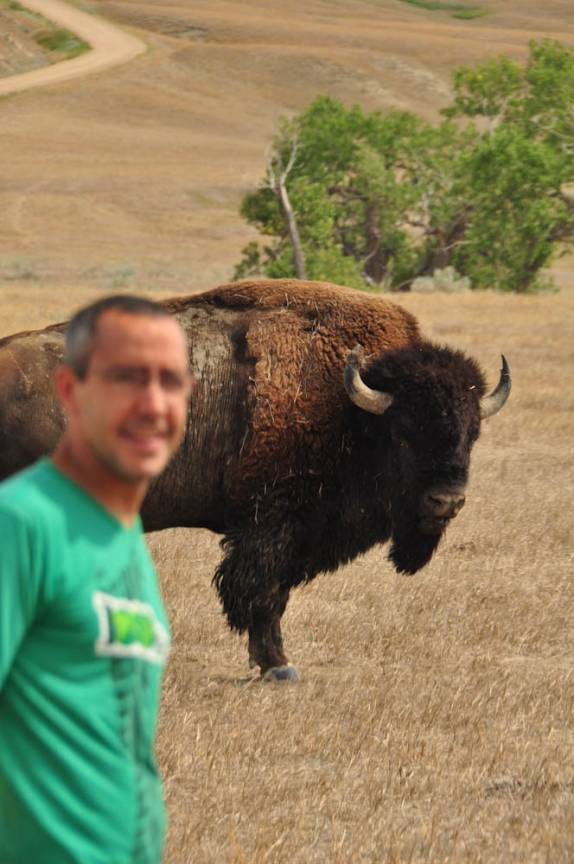 Tentando socializar com um bisão no Badlands National Park, em South Dakota, nos Estados Unidos